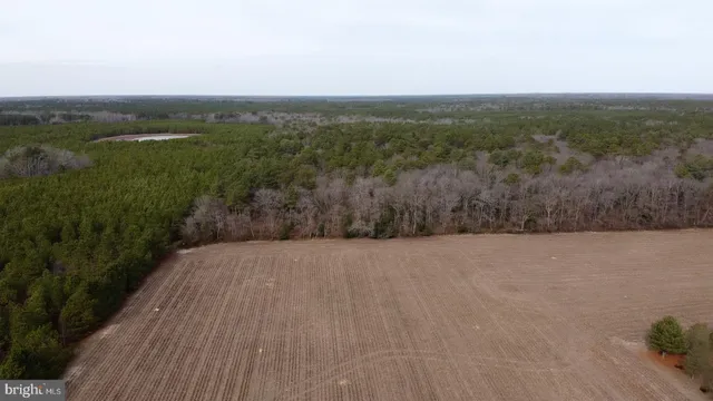 a view of a dry yard with wooden fence