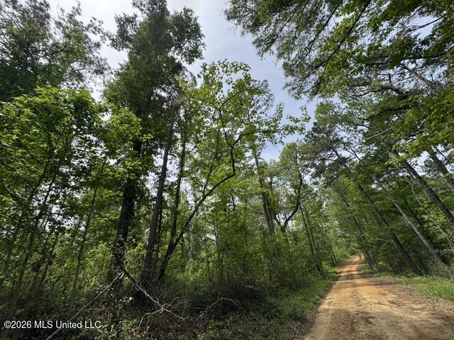 104 Homochitto National Forest Road Meadville, MS 39653 - Photo 11 of 25 IMG_0822
