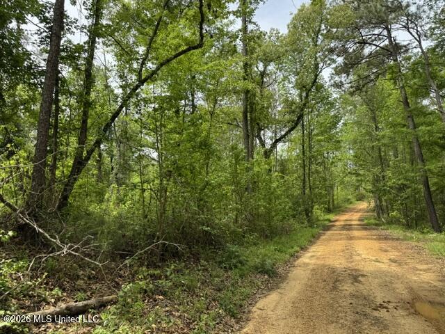 104 Homochitto National Forest Road Meadville, MS 39653 - Photo 12 of 25 IMG_0821