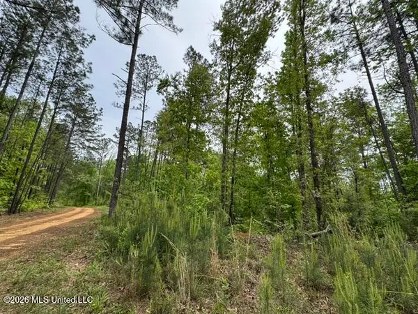 $790,725 | 104 Homochitto National Forest Road, Meadville, MS 39653