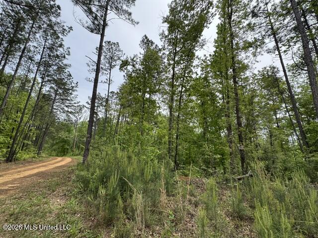 104 Homochitto National Forest Road Meadville, MS 39653 - Photo 13 of 25 IMG_0819