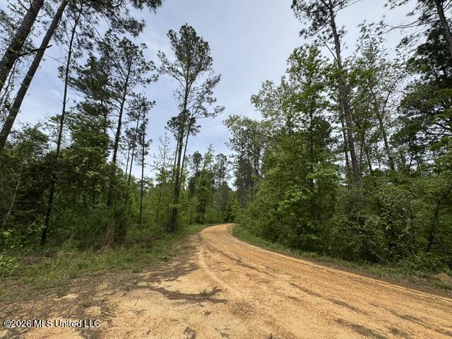 104 Homochitto National Forest Road Meadville, MS 39653 - Photo 14 of 25 IMG_0818