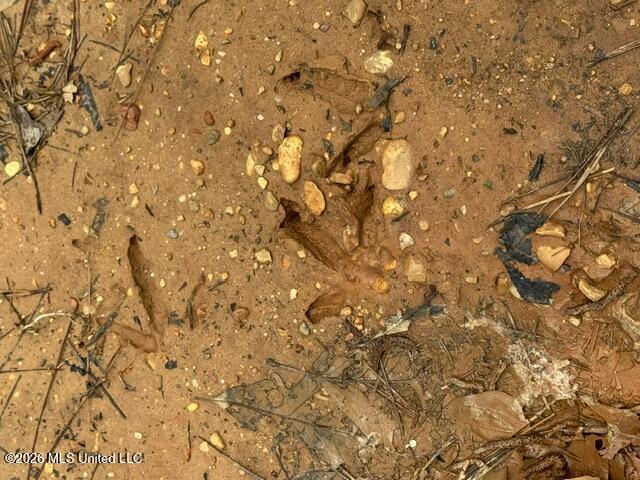 104 Homochitto National Forest Road Meadville, MS 39653 - Photo 15 of 25 IMG_0817