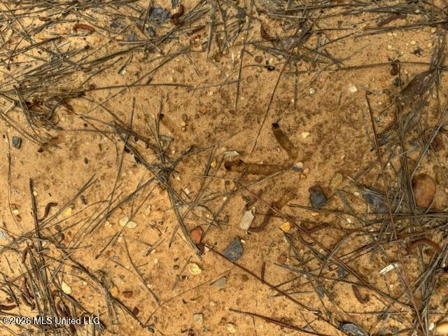 104 Homochitto National Forest Road Meadville, MS 39653 - Photo 16 of 25 IMG_0815