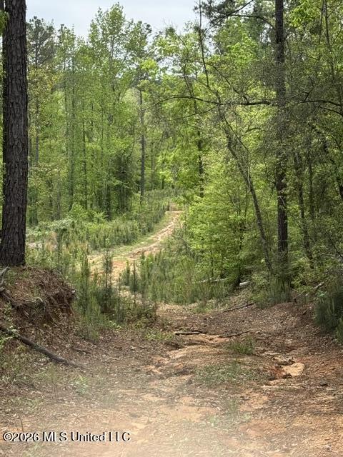 104 Homochitto National Forest Road Meadville, MS 39653 - Photo 17 of 25 IMG_0814