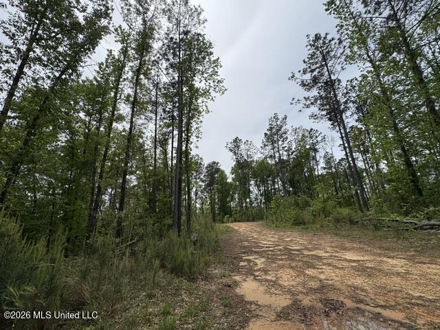 104 Homochitto National Forest Road Meadville, MS 39653 - Photo 18 of 25 IMG_0813
