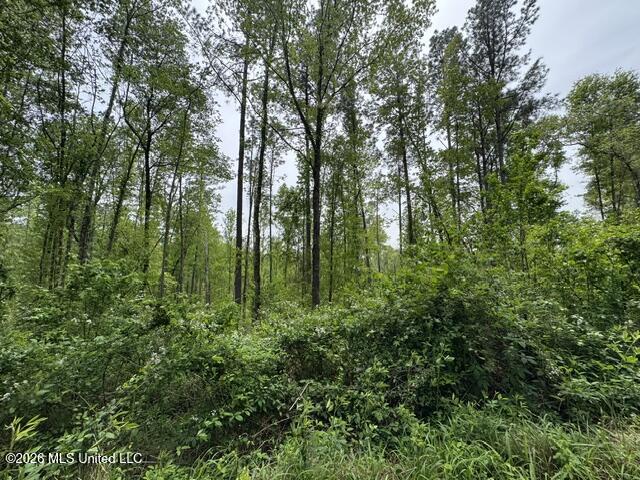 104 Homochitto National Forest Road Meadville, MS 39653 - Photo 19 of 25 IMG_0812