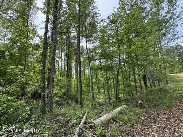 104 Homochitto National Forest Road Meadville, MS 39653 - Photo 20 of 25 IMG_0811