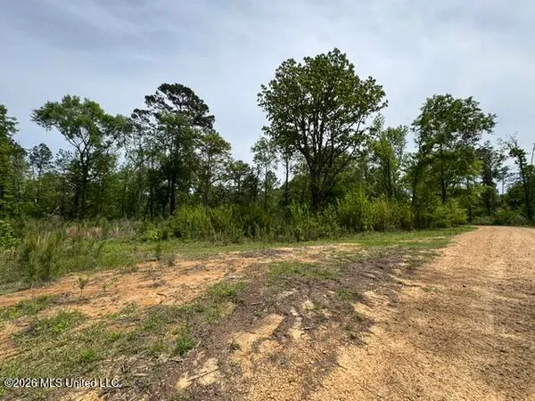 $790,725 | 104 Homochitto National Forest Road, Meadville, MS 39653
