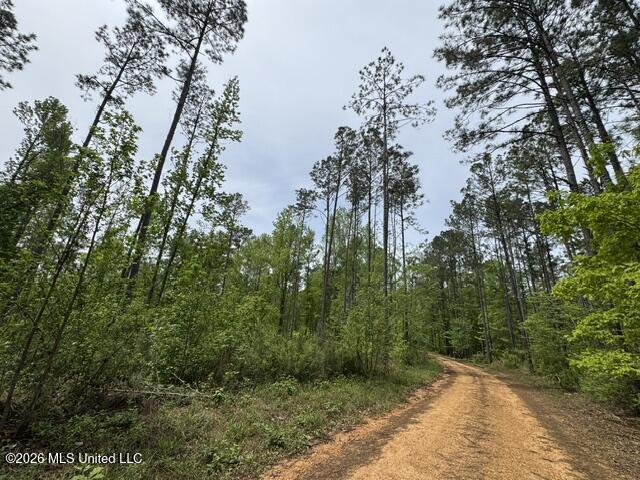 104 Homochitto National Forest Road Meadville, MS 39653 - Photo 21 of 25 IMG_0810