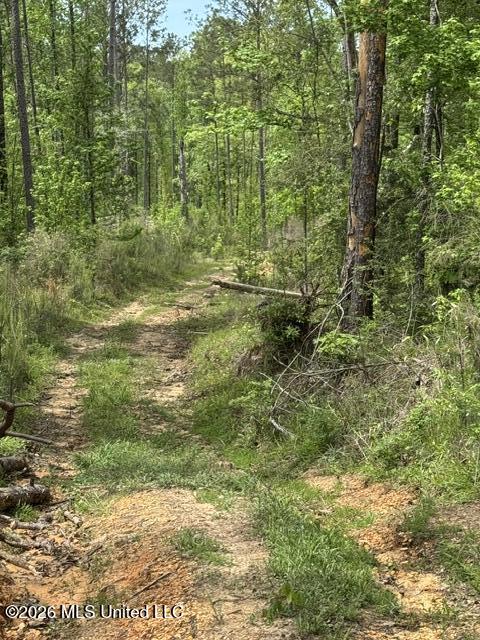 104 Homochitto National Forest Road Meadville, MS 39653 - Photo 22 of 25 IMG_0809