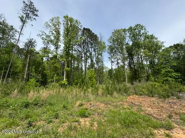 $790,725 | 104 Homochitto National Forest Road, Meadville, MS 39653