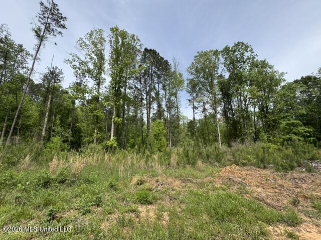 104 Homochitto National Forest Road Meadville, MS 39653 - Photo 23 of 25 IMG_0807