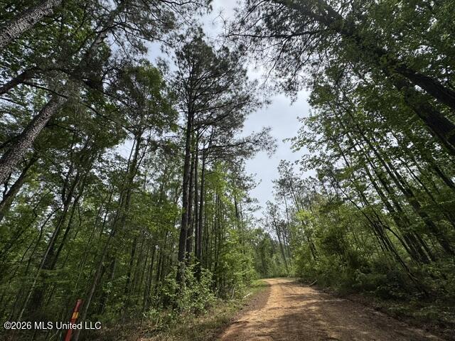 104 Homochitto National Forest Road Meadville, MS 39653 - Photo 24 of 25 IMG_0806