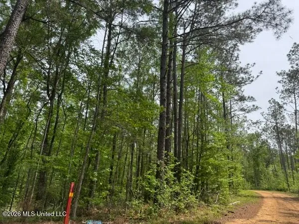 $790,725 | 104 Homochitto National Forest Road, Meadville, MS 39653
