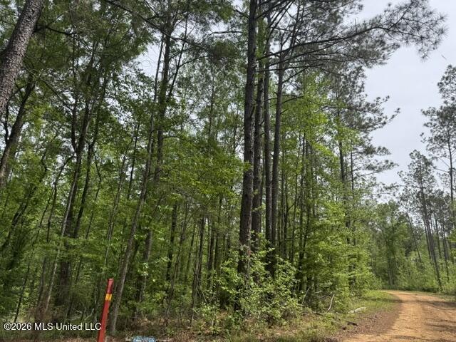104 Homochitto National Forest Road Meadville, MS 39653 - Photo 25 of 25 IMG_0805