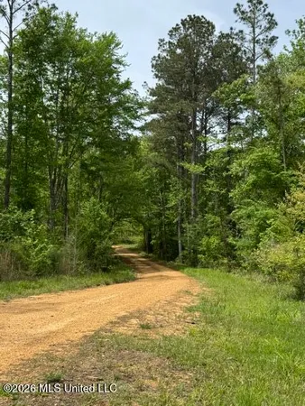 $790,725 | 104 Homochitto National Forest Road, Meadville, MS 39653