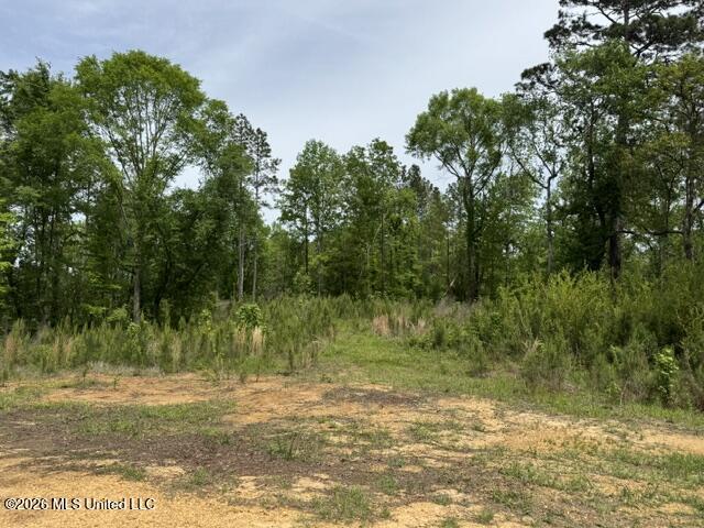 104 Homochitto National Forest Road Meadville, MS 39653 - Photo 4 of 25 IMG_0830
