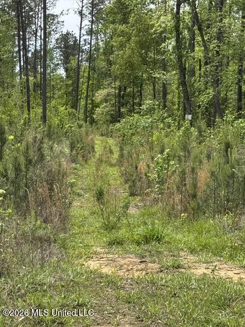 104 Homochitto National Forest Road Meadville, MS 39653 - Photo 5 of 25 IMG_0829