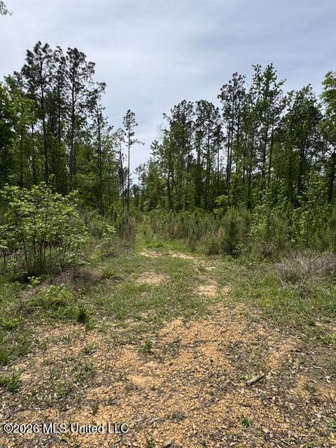 104 Homochitto National Forest Road Meadville, MS 39653 - Photo 6 of 25 IMG_0828