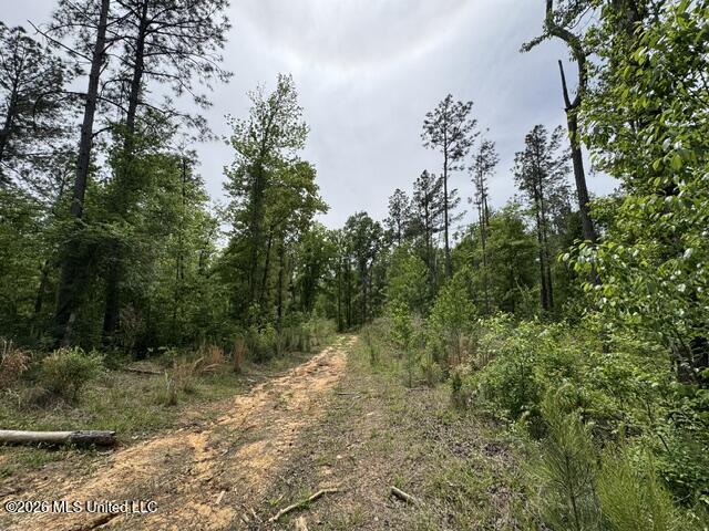 104 Homochitto National Forest Road Meadville, MS 39653 - Photo 9 of 25 IMG_0824