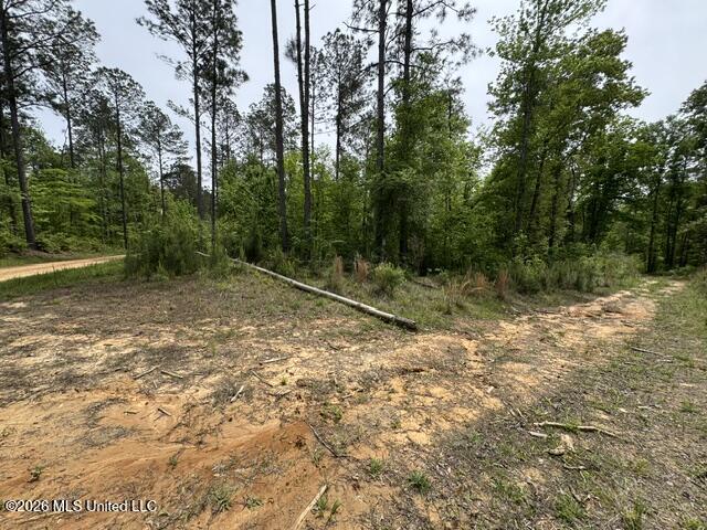 104 Homochitto National Forest Road Meadville, MS 39653 - Photo 10 of 25 IMG_0823
