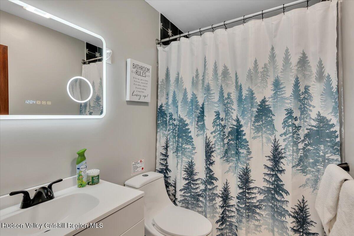 114 Ford Hill Road Hunter, NY 12442 - Photo 12 of 40 a bathroom with a sink toilet and shower