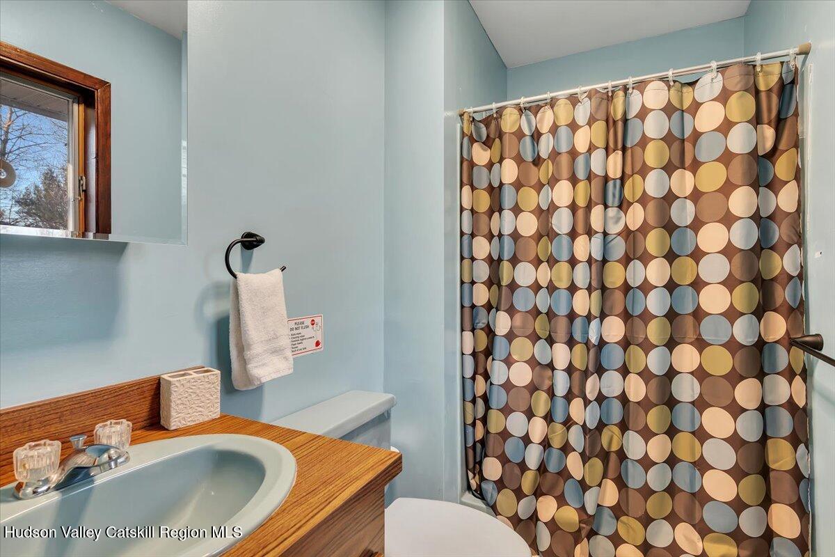 114 Ford Hill Road Hunter, NY 12442 - Photo 29 of 40 a bathroom with a sink toilet and mirror