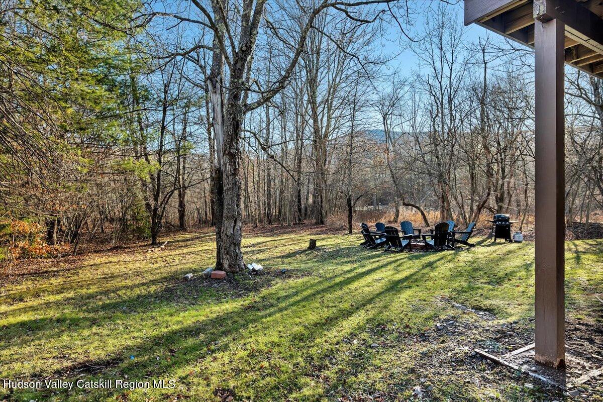 114 Ford Hill Road Hunter, NY 12442 - Photo 40 of 40 a view of a park with large trees
