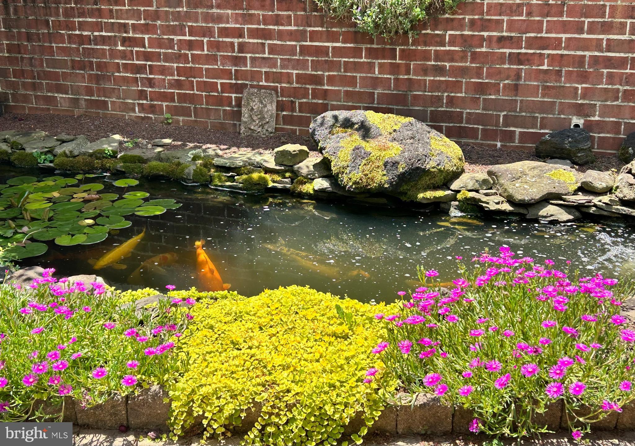992 Sheffield Lane Huntingdon Valley, PA 19006 - Photo 29 of 31 Fish pond