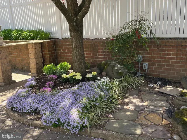 a view of a backyard with plants and a bench