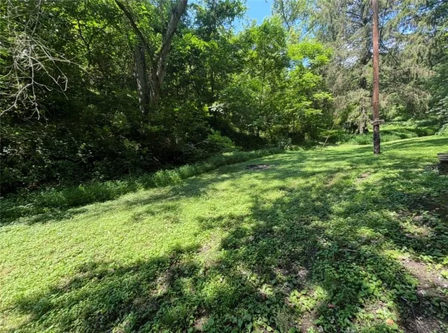 a view of outdoor space and yard