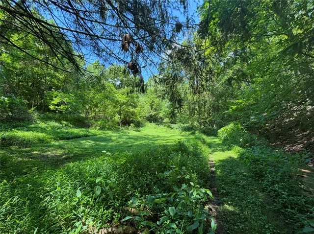 a backyard of a house with lots of green space