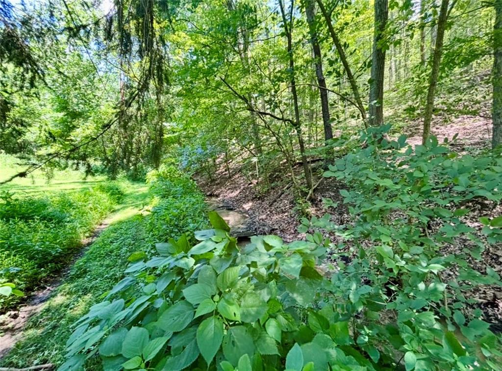 45 Dutch Hollow Road Oakdale, PA 15071 - Photo 7 of 7 a view of a lush green forest