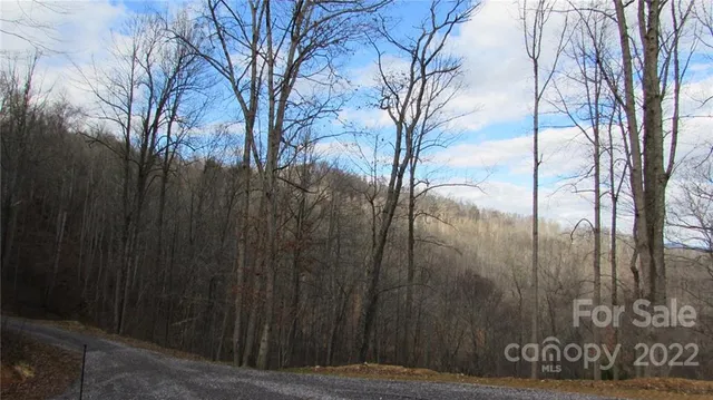 $52,500 | 0 Falling Water Drive, Unit 15, Green Mountain, NC 28740