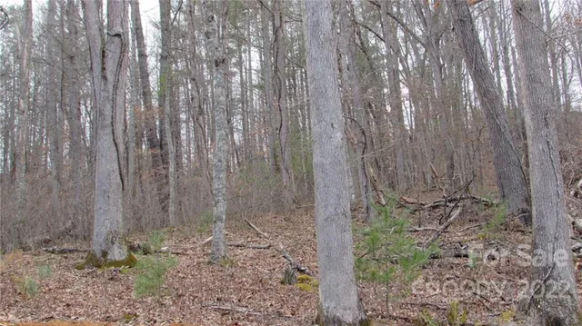 $52,500 | 0 Falling Water Drive, Unit 15, Green Mountain, NC 28740