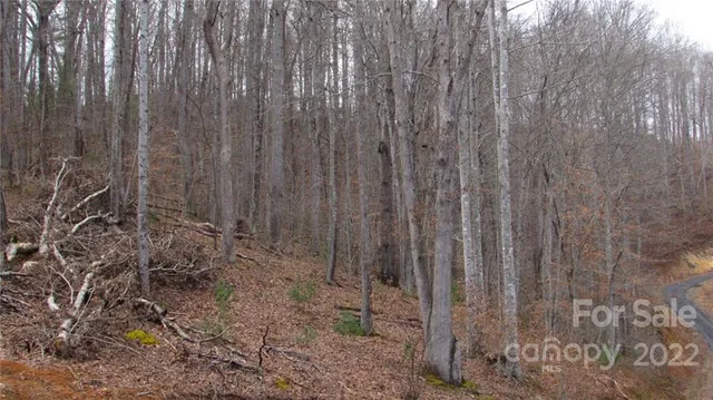 $52,500 | 0 Falling Water Drive, Unit 15, Green Mountain, NC 28740