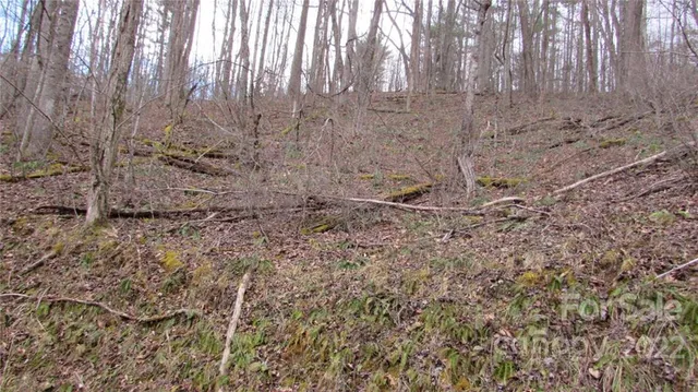 $52,500 | 0 Falling Water Drive, Unit 15, Green Mountain, NC 28740