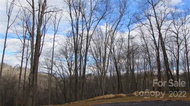 $52,500 | 0 Falling Water Drive, Unit 15, Green Mountain, NC 28740