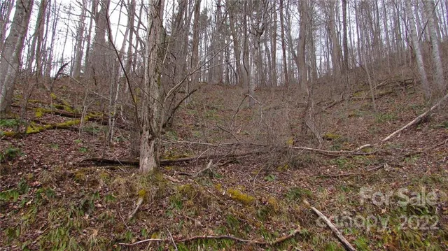 $52,500 | 0 Falling Water Drive, Unit 15, Green Mountain, NC 28740