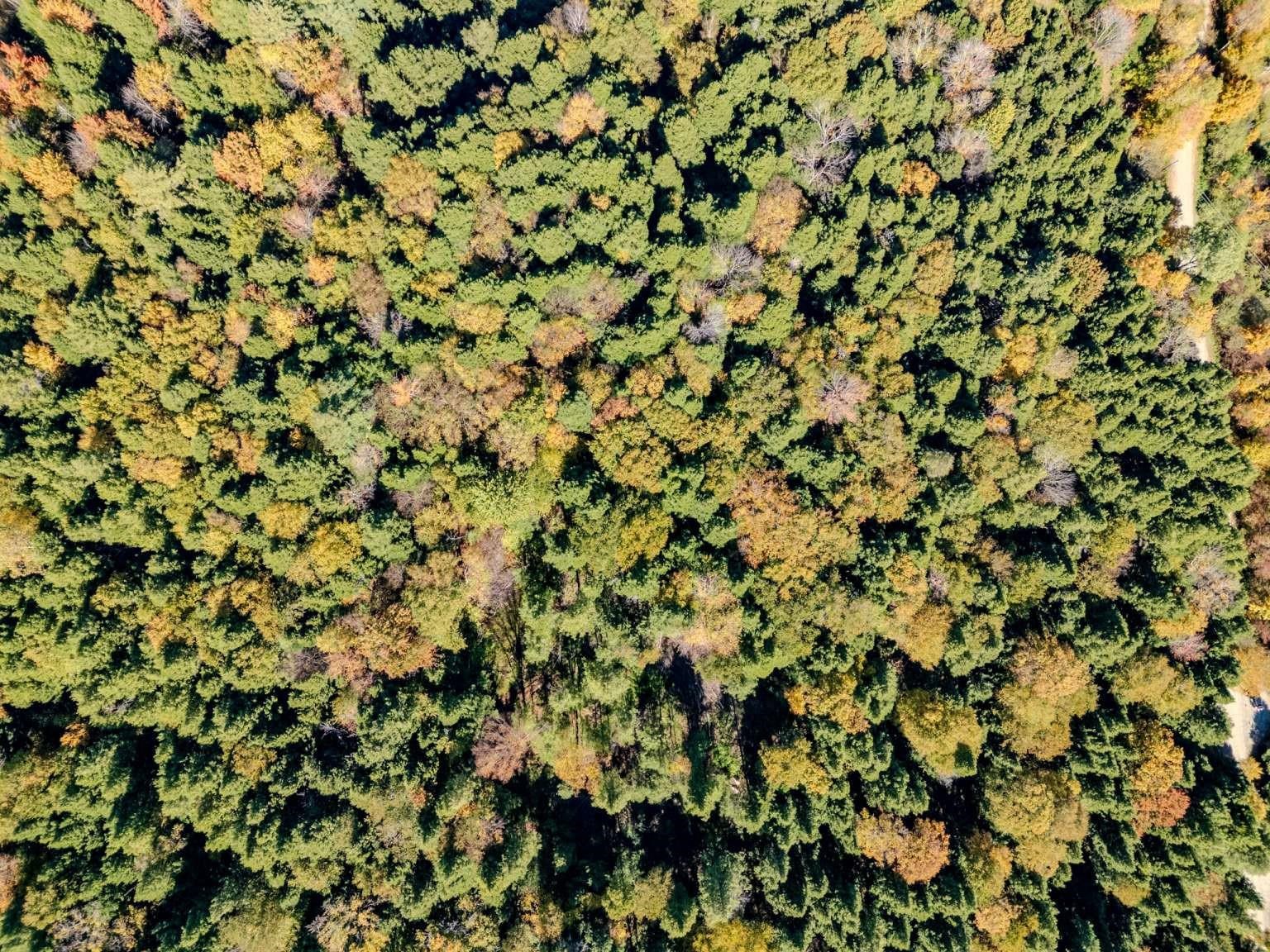 30 Bentley Lane Jericho, VT 05465 - Photo 8 of 24