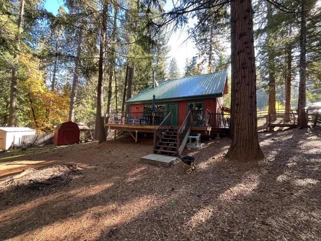 a view of a backyard with large trees