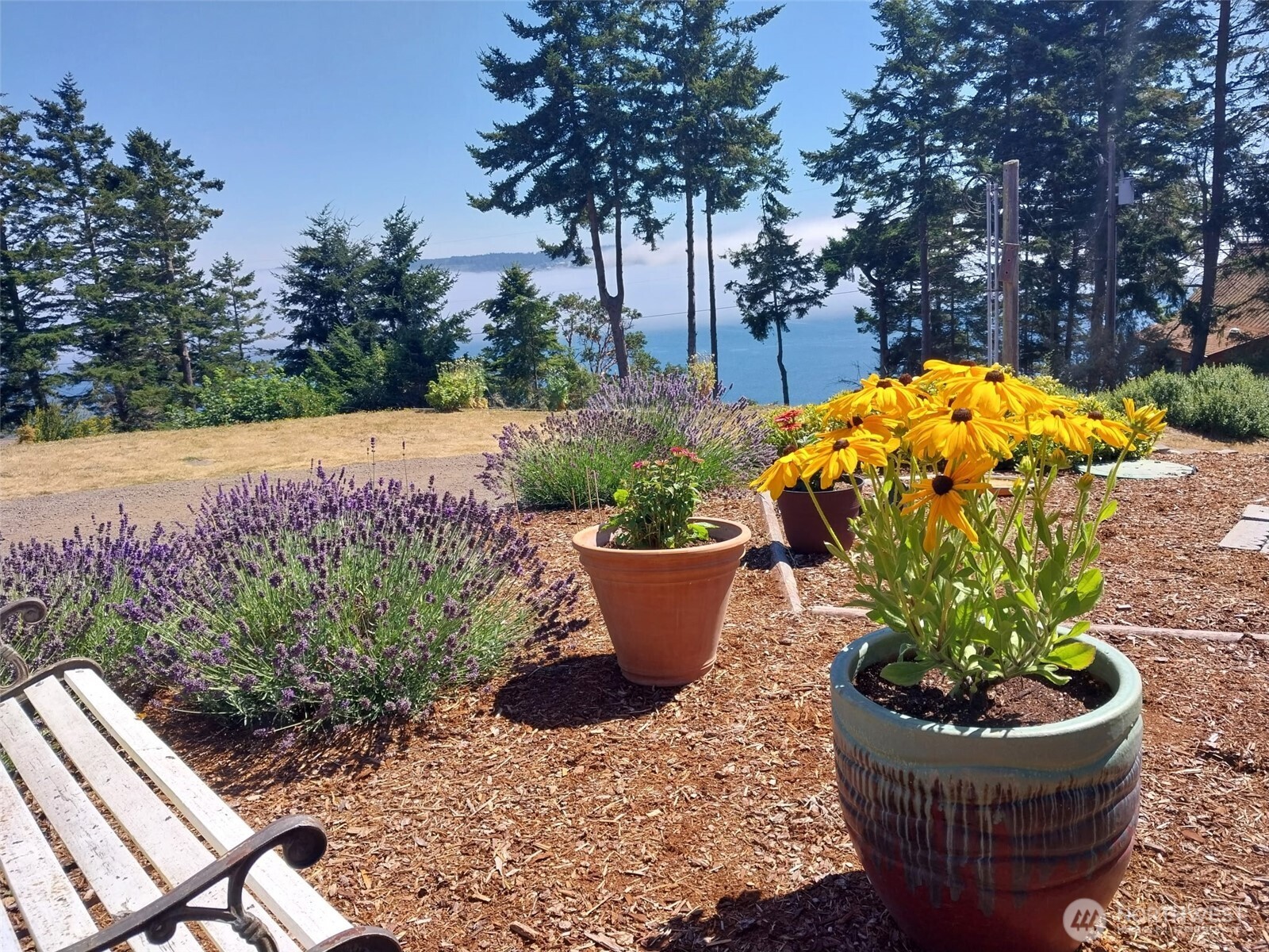 382 Discovery Way Sequim, WA 98382 - Photo 39 of 40