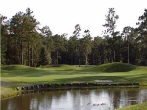 152 Hickory Ridge Way Summerville, SC 29483 - Photo 39 of 43 Pine Forest golf for mls