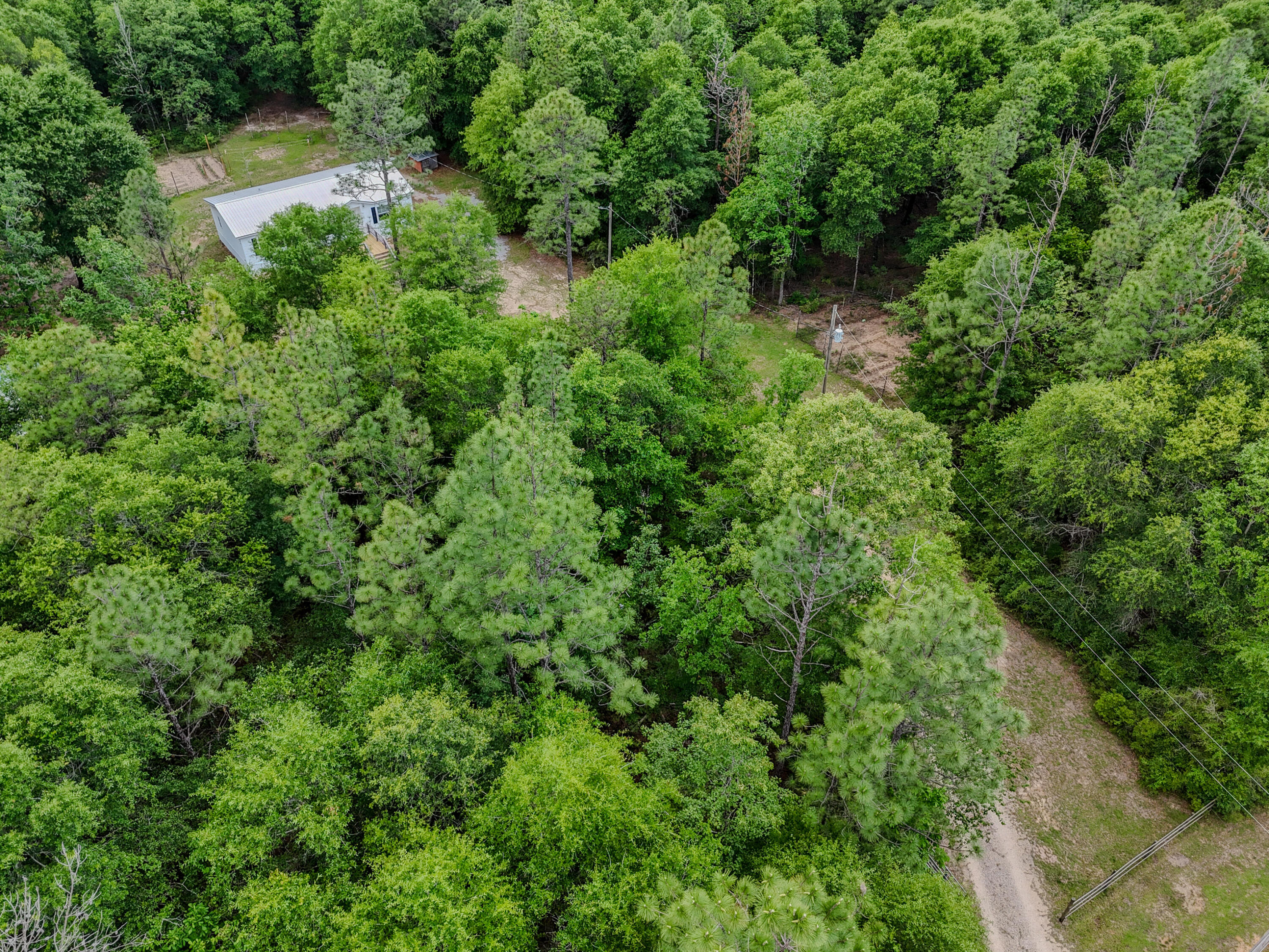 10732 Huckaba Road Red Level, AL 36474 - Photo 32 of 43 DJI_20260519040807_0041_D