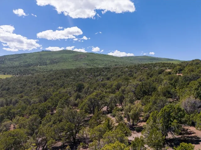 a view of a lake with a mountain