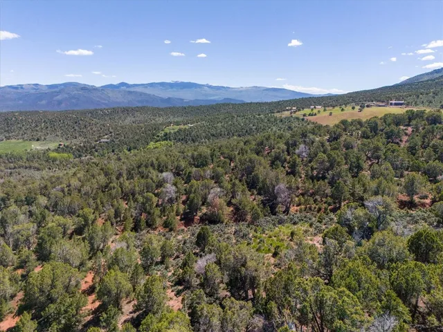 a view of a city with mountains in the background