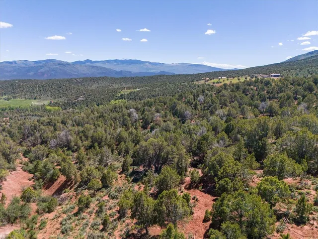 a view of a pathway with a yard