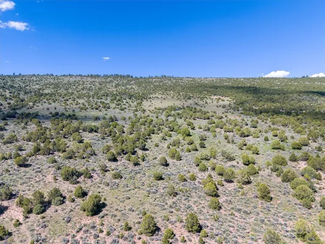 a view of a yard with an outdoor space