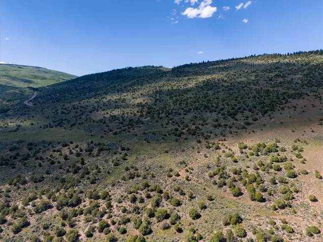 a view of a yard with lots of trees